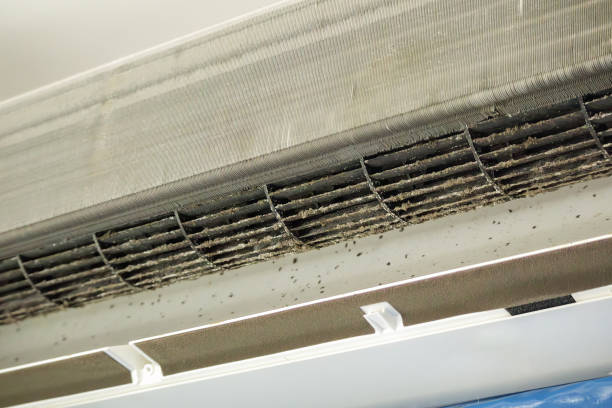 Best Ductwork Cleaning Services  in Lake Heritage, PA